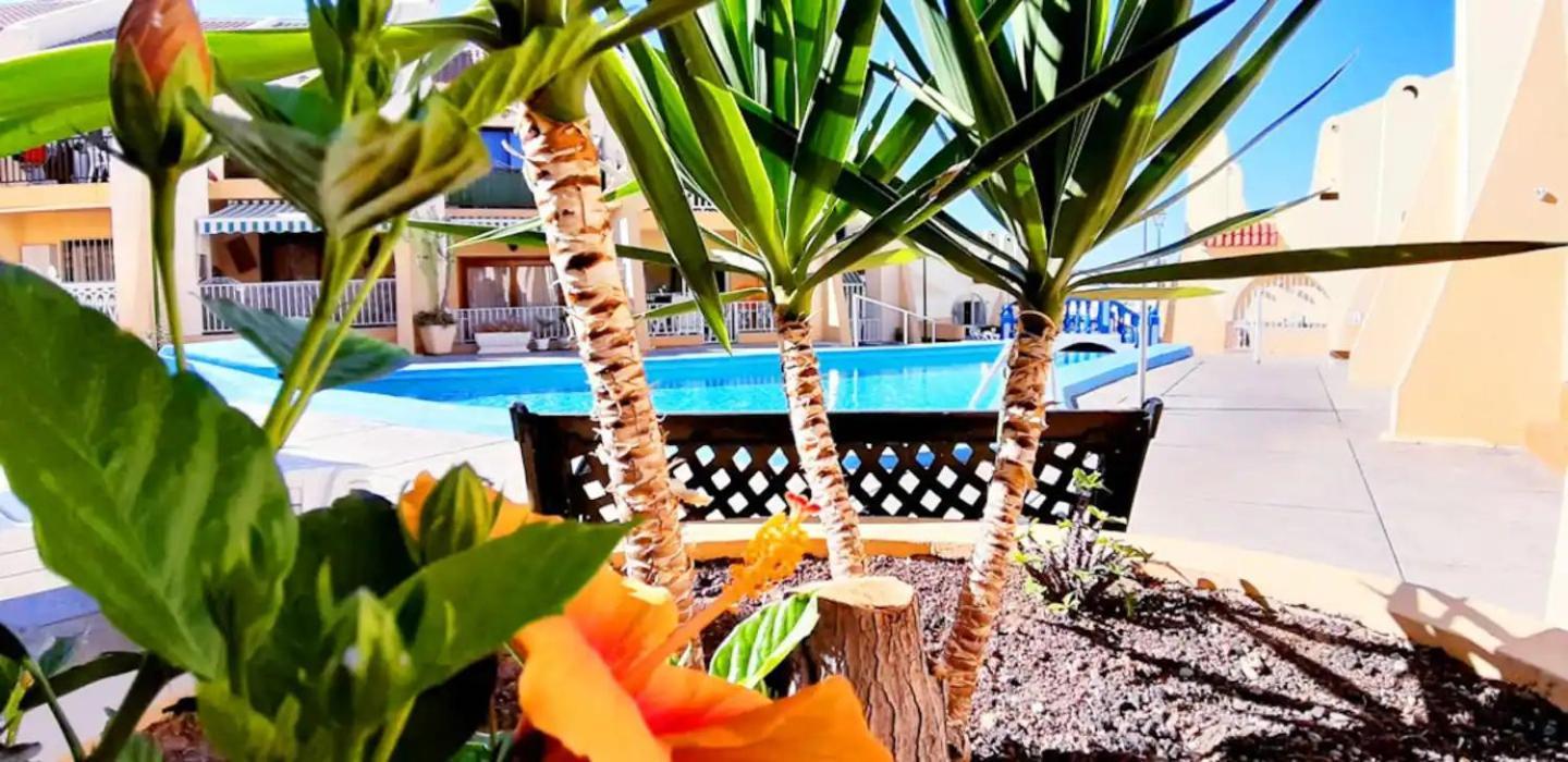 Apartment Sunny Pool Patio - 2 Bedrooms 2 Baths Costa Adeje (Tenerife)